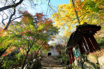 Fototapeta premium 아름다운 가을 단풍과 한국의 전통 건축물