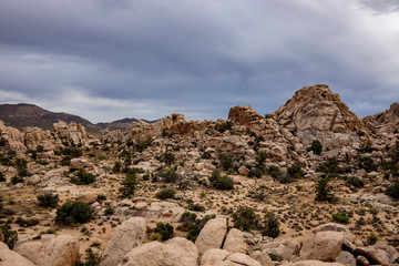 Fototapeta na wymiar rockscape in the desert