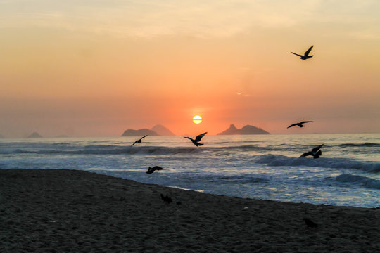amanhecer carioca