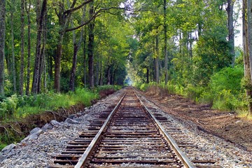 Fototapeta premium railway in the woods