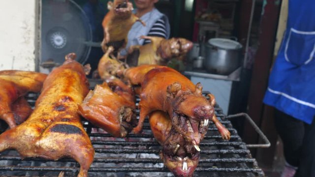 Roasting guinea pigs in the Ecuadorian highlands, Known locally as Cuy, guinea pigs are a delicacy in Andean countries