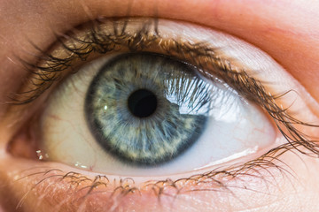 close up eye

