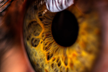 close up of eye