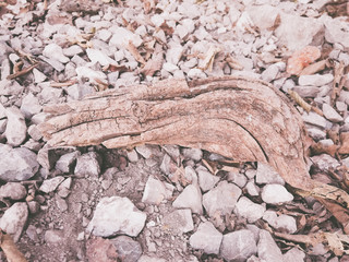 Trozo de madera extraño sobre el suelo.