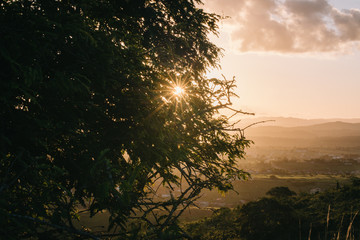 sunset in the forest