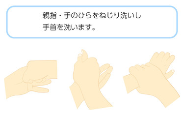 正しい手の洗い方