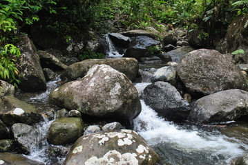 Rivers and waterfalls in the tropical forest of Panama	