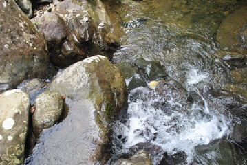 Rivers and waterfalls in the tropical forest of Panama	