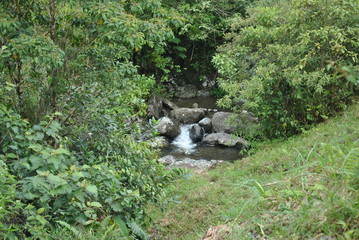 Fototapeta premium River and waterfalls in the tropical forest