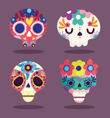 day of the dead, decorative sugar catrinas flowers culture traditional celebration mexican icons