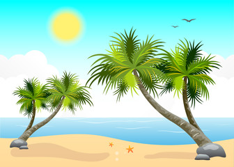 Fototapeta na wymiar Summer Tropical Island Nature Background