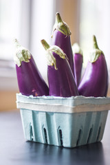 Egg plant from farmers market 