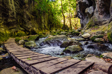 Puente de madera que cruza un río de agua limpia en paisaje selvático