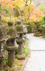 Nanzoin temple, Fukuoka Japan- November 21, 2018: Old Ishi-doro (stone lamp) path leads up hill at Nanzoin temple in Autumn