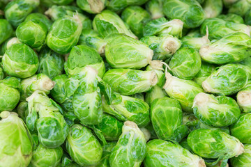 Fresh Brussel prrout for food