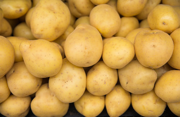 Raw gold potatoes for food