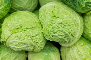Close up of head of fresh, green savoy cabbage