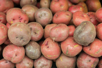 Raw red potatoes for food