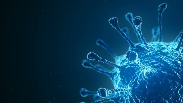 Bright, glowing, blue coronavirus under the microscope on a dark background. 3D render of microbes, looped animation.