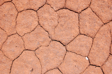 Cracked mud makes an abstract pattern.