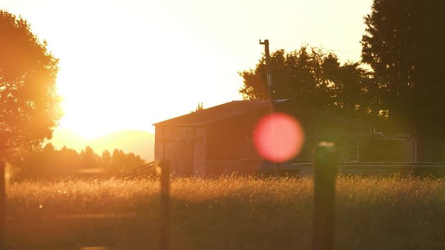 Peaceful scenery in the countryside with a farmhouse standing across the field neath the beautiful sun-kissed in New Zealand - medium shot