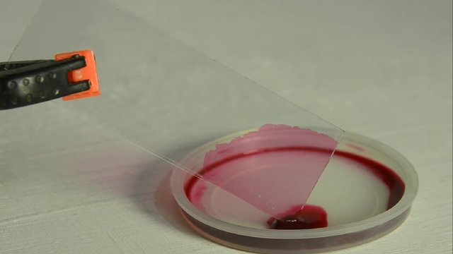 Demonstration of capillary effect; red ink climbs up in the small gap between two microscope slide glasses.