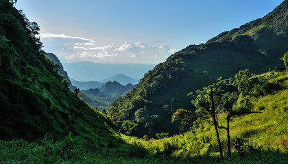 Naklejka premium Mountain at Doi Luang Chiang Dao Chiang Mai , Thailand 