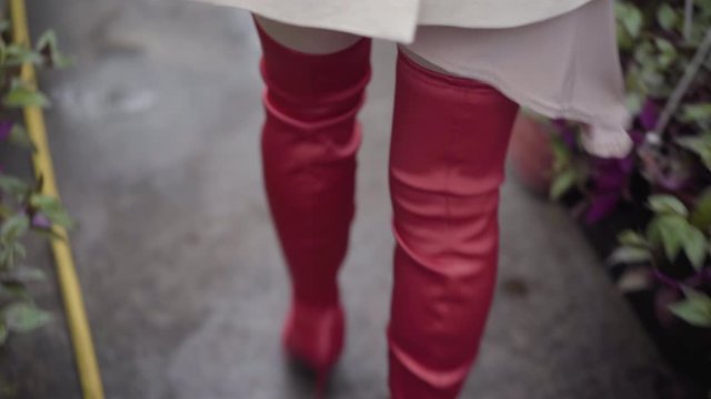 Camera following red thigh high boots walking along row of plants in glasshouse. Stylish elegant woman in high-heels strolling in greenhouse.