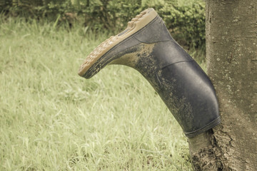 Problems in agriculture, farming.