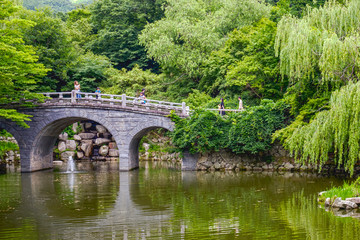 Fototapeta na wymiar Green trees, a pond, a bridge over the water. City park, summer. Beautiful landscaping.