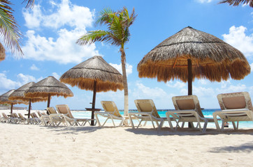 Fototapeta na wymiar Tropical sunny beach, beach concept