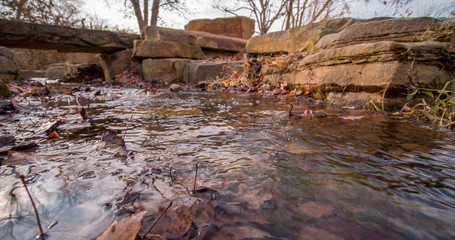 Low wide angle view of fallen season leaves in stream