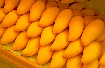 Pile of yellow smooth skin mangoes fruits in market