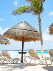 Fototapeta premium Tropical sunny beach, beach concept