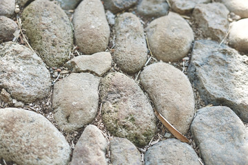 Big stone path pattern background