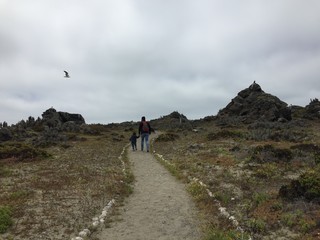 hiking in the mountains