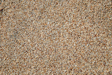 Texture bunch, background of small sea shells, colored pebbles and sand.