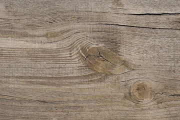 texture of a wood slab an old ruined tree with traces of decay, suitable for creating interiors or as a texture for moderation