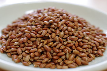 赤米（あかまい）