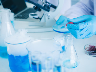 Fototapeta premium cluse up scientist wear rubber gloves dropping blue liquid biology chemical test in laboraty.