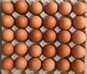 thirty fresh organic chicken eggs in grey paper egg tray from top view