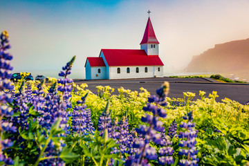 Misty morning view of Vikurkirkja (Vik i Myrdal Church) with Reynisdrangar on background, Vik location. Colorful summer scene of Iceland with field of blooming lupine flowers. Travel to Iceland.