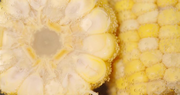 Round cut corn under water with air bubbles.