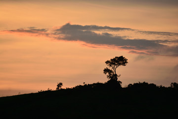 Sunset sunrise silhouette of trees over mountain background wallpaper