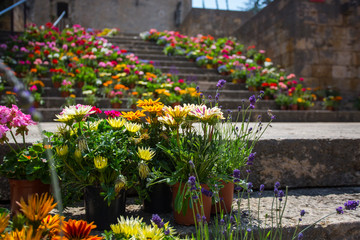 Staircase in Gothic quarter Girona decorated flowers Tiempo de flors festival