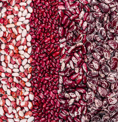 Several types of multicolored beans lay in the form of vertical stripes