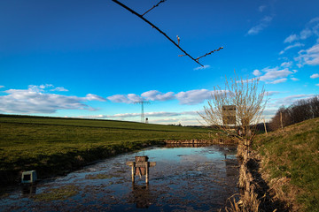 Teich, Weiher (vivarium), mit Entenhütte und Spiegelung des himmels im Wasser und Weidenblüten im Vordergrund, Strommast und Freileitung im Hintergrund