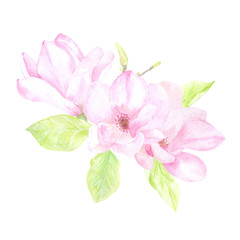 Watercolor bouquet of beautiful pink magnolias. Ideal for wedding, and not only, invitations, cards, textiles, photo albums, decoupage, web sites and many other creative ideas.
