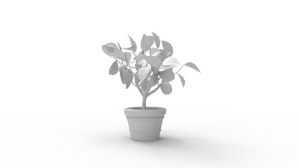 Obraz premium 3D rendering of a house plant model computer generated