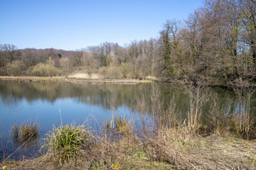 Fototapeta na wymiar Der Bereich des ehemaligen Aprather Mühlenteiches ist inzwischen ein Naturschutzgebiet
